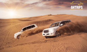 Benefits of Choosing us for Desert Safari in Dubai