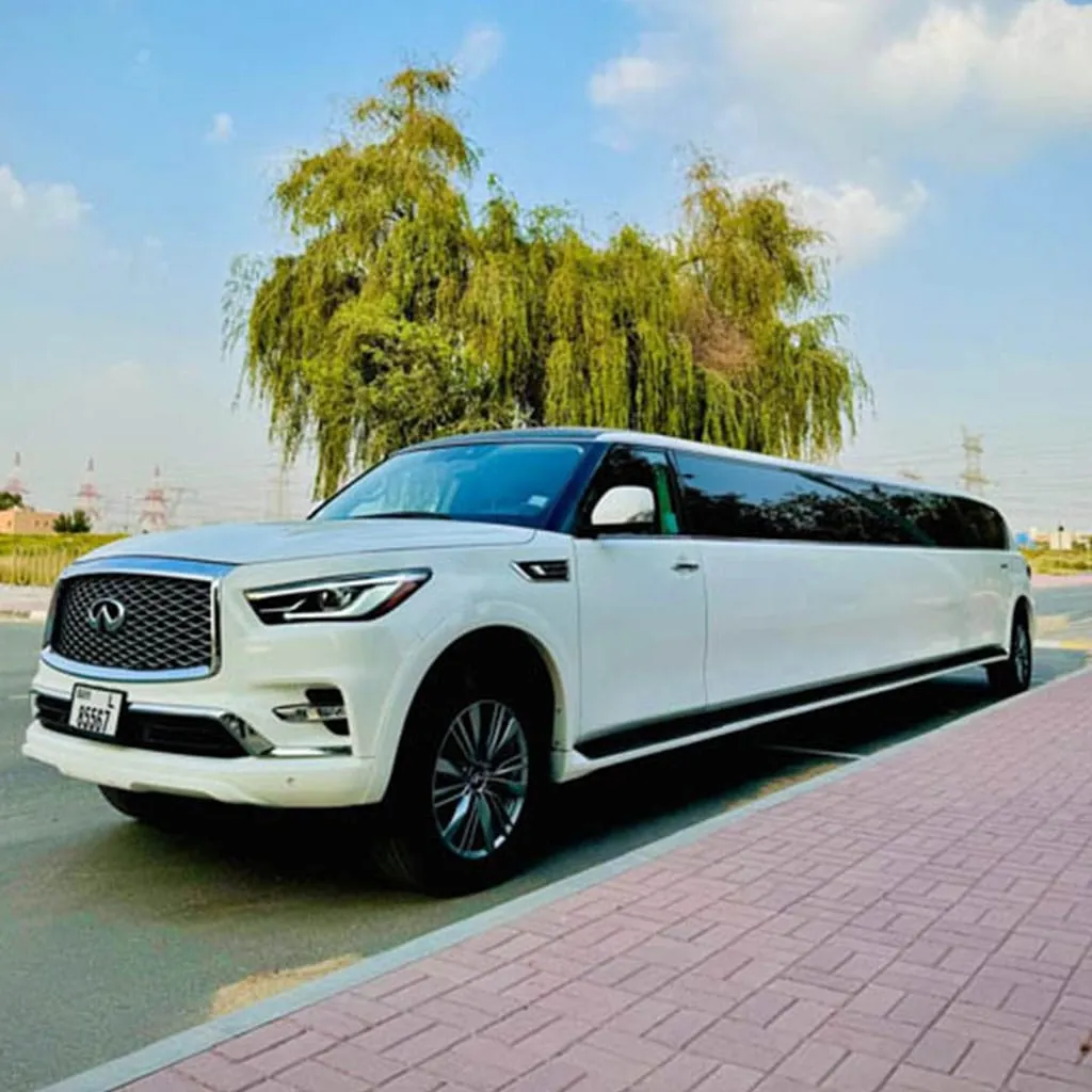 Book stretched limousine With Chauffeur